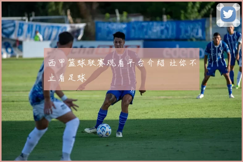西甲篮球联赛观看平台介绍 让你不止看足球