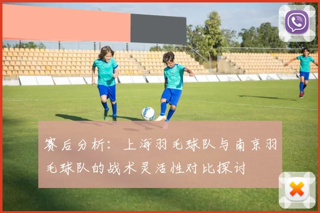 赛后分析：上海羽毛球队与南京羽毛球队的战术灵活性对比探讨