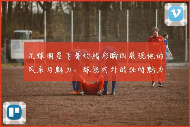 足球明星飞哥的精彩瞬间展现他的风采与魅力，球场内外的独特魅力尽在其中