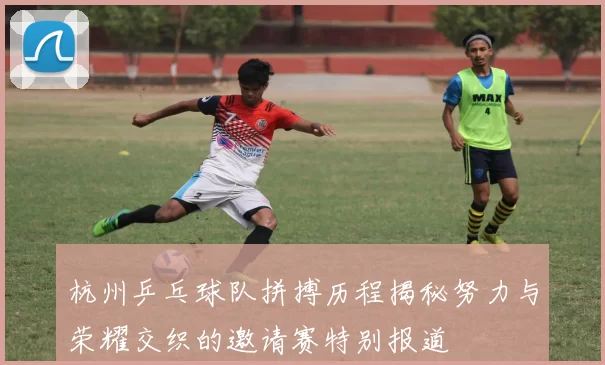 杭州乒乓球队拼搏历程揭秘努力与荣耀交织的邀请赛特别报道