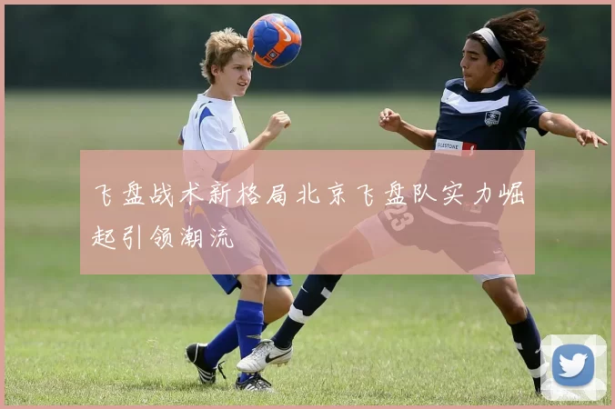 飞盘战术新格局北京飞盘队实力崛起引领潮流