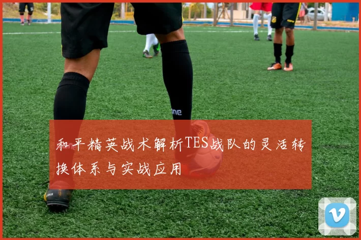 和平精英战术解析TES战队的灵活转换体系与实战应用
