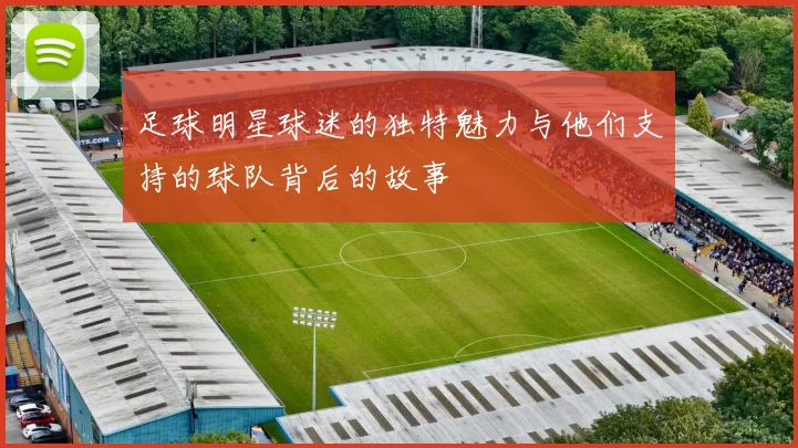 足球明星球迷的独特魅力与他们支持的球队背后的故事