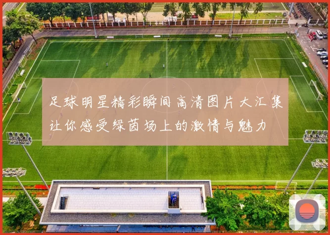 足球明星精彩瞬间高清图片大汇集让你感受绿茵场上的激情与魅力