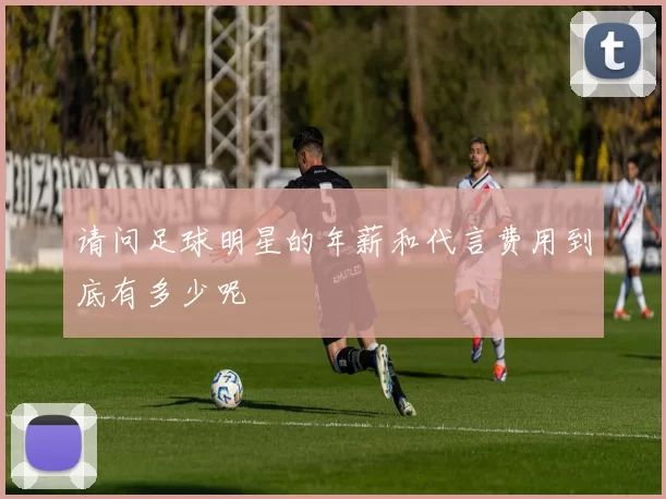 请问足球明星的年薪和代言费用到底有多少呢