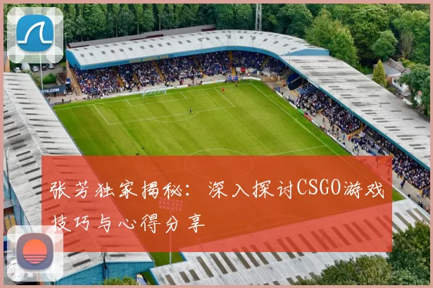 张芳独家揭秘：深入探讨CSGO游戏技巧与心得分享
