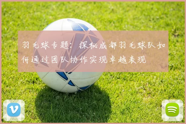 羽毛球专题:探秘成都羽毛球队如何通过团队协作实现卓越表现