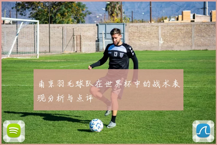 南京羽毛球队在世界杯中的战术表现分析与点评