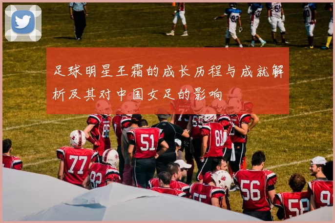 足球明星王霜的成长历程与成就解析及其对中国女足的影响