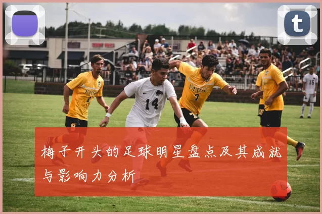 梅子开头的足球明星盘点及其成就与影响力分析