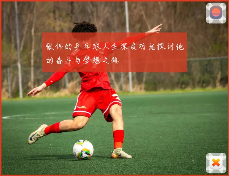 张伟的乒乓球人生深度对话探讨他的奋斗与梦想之路