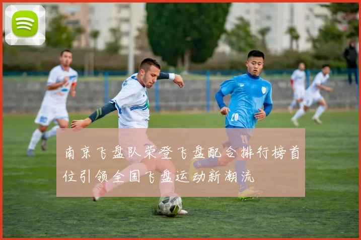 南京飞盘队荣登飞盘配合排行榜首位引领全国飞盘运动新潮流