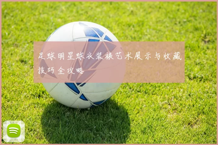 足球明星球衣装裱艺术展示与收藏技巧全攻略