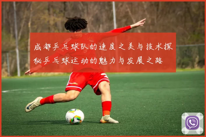 成都乒乓球队的速度之美与技术探秘乒乓球运动的魅力与发展之路