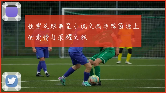 快穿足球明星小说之我与绿茵场上的爱情与荣耀之旅