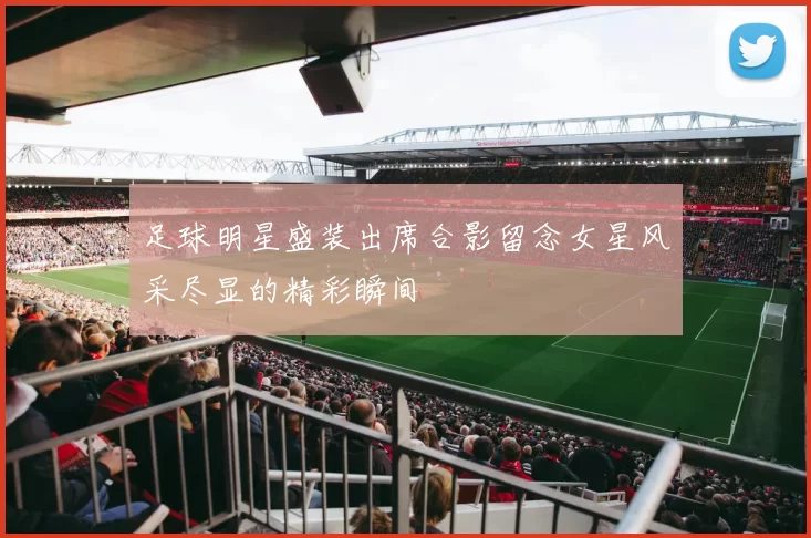 足球明星盛装出席合影留念女星风采尽显的精彩瞬间