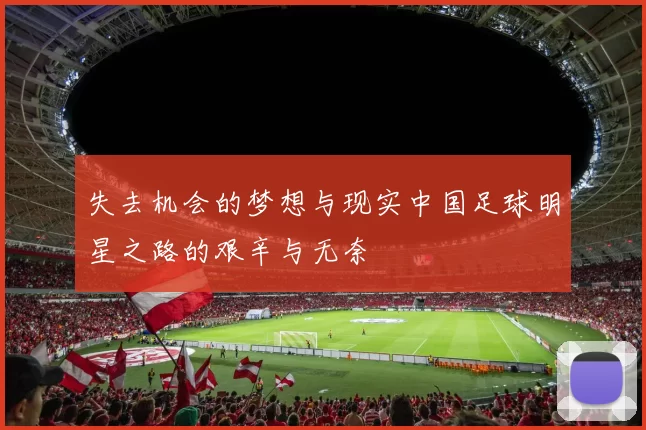 失去机会的梦想与现实中国足球明星之路的艰辛与无奈