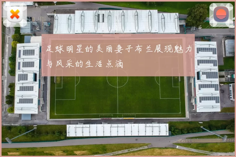 足球明星的美丽妻子布兰展现魅力与风采的生活点滴