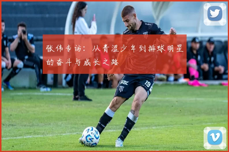 张伟专访：从青涩少年到排球明星的奋斗与成长之路