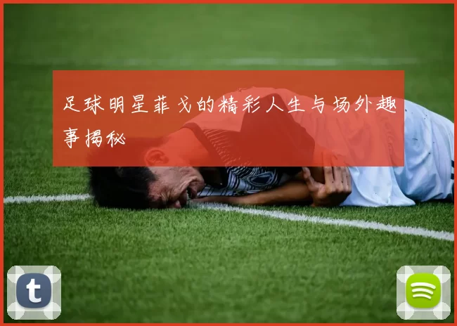 足球明星菲戈的精彩人生与场外趣事揭秘