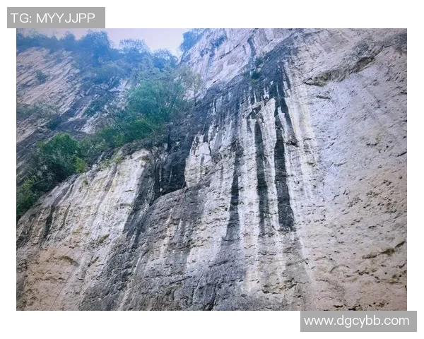 攀岩精神：杭州攀岩队的拼搏历程与成长故事分享