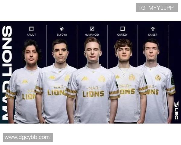 RNG在大师赛中的团队协作分析与表现评估