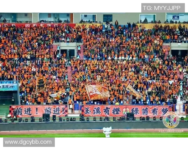 球迷文化的崛起与发展探析：激情、认同与现代社会的互动关系