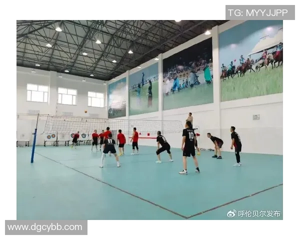 广州排球队的意识提升与团队协作探讨聚焦排球发展新方向